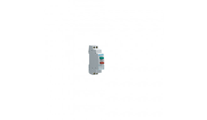Hager Control button 2x 1NO+NC green and red 16A (SVN391)