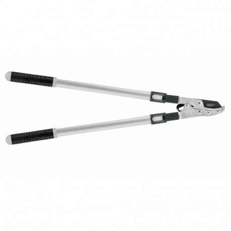 C.BASIC TELESCOPIC ANvil Pruner