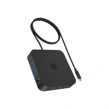 ICY BOX IB-DK4090-C 12-in-1 USB Type-C Dock with PD up to 100W