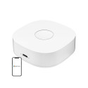 Smart home WS2GW-R WiFi