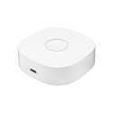 Smart home WS2GW-R WiFi