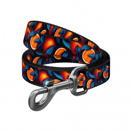 Nylon dog leash, pattern ''Oranges'' length 122 cm Waudog