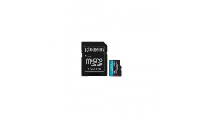 KINGSTON 256 GB MICROSDXC CANVAS GO! PLUS GEN4 200 MT/S A2 U3 V30 CARD + ADAPTER