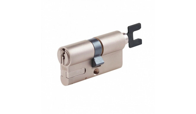 Linus Adjustable Cylinder
