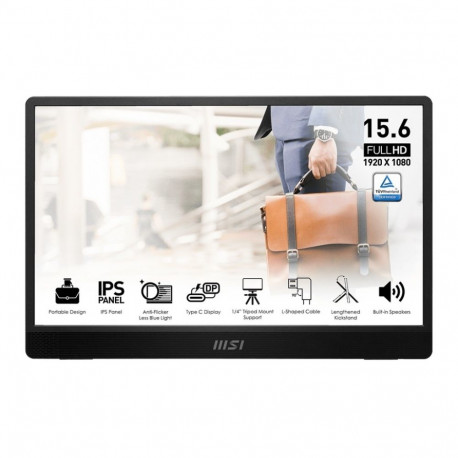 Monitor 15.6 inches PRO MP161 E2U LED/FHD/Flat/60Hz/gray