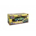 One Piece Zoro RC Rally Car