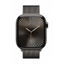Watch Series 10 GPS + Cellular 42 mm Slate Titanium Case with Slate Milanese Loop
