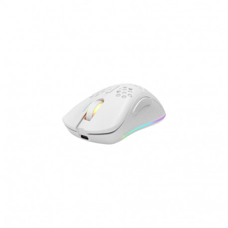Deltaco GAM-120-W mouse Gaming Right-hand RF Wireless + USB Type-C Laser 6400 DPI