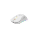 Deltaco GAM-120-W mouse Gaming Right-hand RF Wireless + USB Type-C Laser 6400 DPI