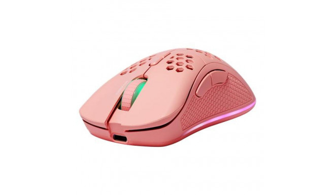 Deltaco GAM-120-P mouse Gaming Right-hand RF Wireless + USB Type-C Laser 4800 DPI