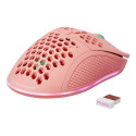 Deltaco GAM-120-P mouse Gaming Right-hand RF Wireless + USB Type-C Laser 4800 DPI