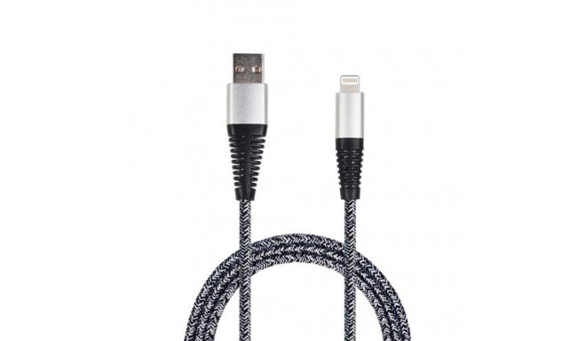 2GO 795952 lightning cable 1 m Silver