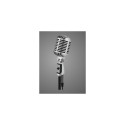 Shure 55SH Grey Studio microphone