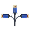 Alcasa 4860-SF020B video cable adapter 2 m DisplayPort HDMI Black, Blue