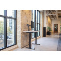 Ergotron LX Series LX DESK MOUNT LCD MONITOR ARM TALL POLE 86.4 cm (34&quot;) Black