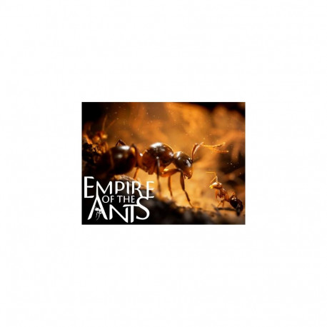 Microids Empire Of The Ants Standard Arabic, Simplified Chinese, Traditional Chinese, German, Englis