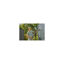 Gardena 14840-55 electric patio cleaner