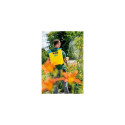 GLORIA Hobby 1200 Backpack garden sprayer 12 L