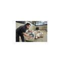 Bosch GST 10,8 V-LI power jigsaw 1.5 kg