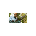 Bosch 0 600 8B8 303 chainsaw 1800 W Green