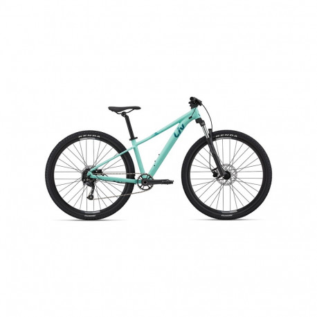 LIV Tempt 29 2 (2022) 29" 16,5" M, Ocean Wave