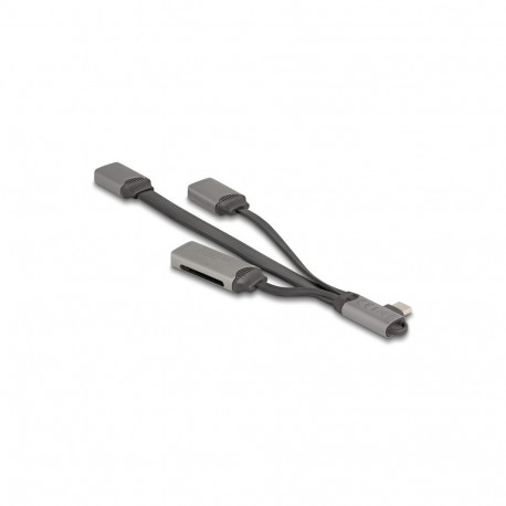 "DELOCK 2 Port USB Hub inklusive SD und Micro SD Card Reader mit USB Type-C Anschluss"