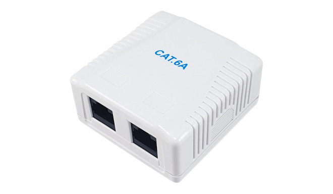 "Equip Aufputzdose Cat6A 2-Port 2x RJ45 UTP"