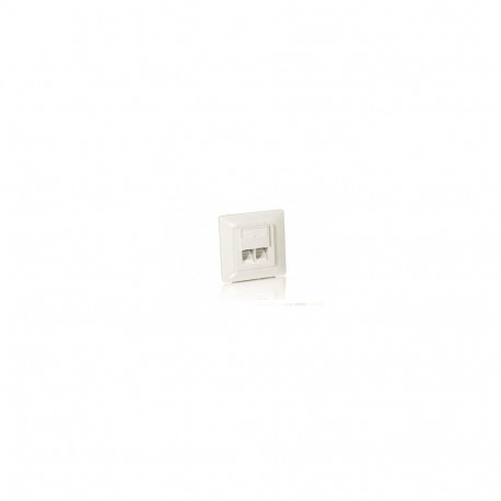 "Equip Unterputzdose +Frontplatte 2xRJ45 Cat5e 45° RAL 1013"