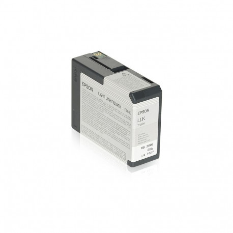 "Epson C13T580900 light black"