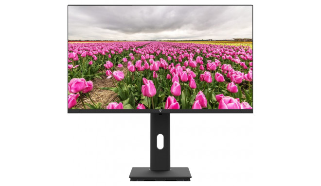 "23.8IN HT ADJUST MONITOR HDMI"