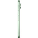 Google Pixel 9 128GB talvine roheline