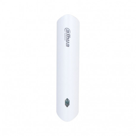 Dahua Technology ARM310-W2(868)