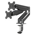 Monitor Mount - Esperanza Erw020 Gas Desk, Gray
