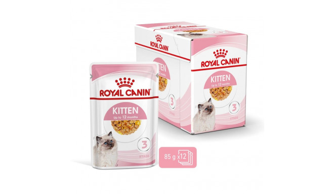 Wet Kitten Food - Royal Canin Kitten Instinctive