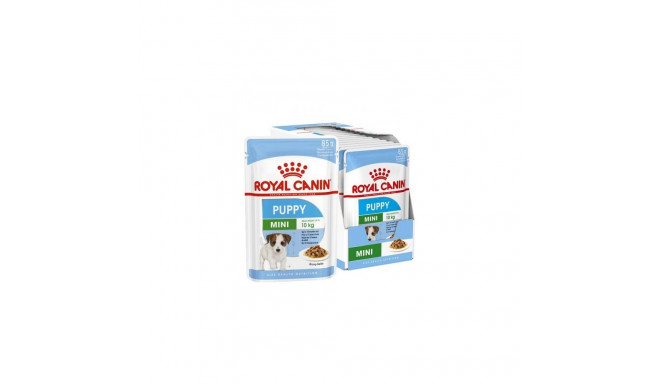Dog Food - Royal Canin Shn Mini Puppy In Sauce 12x85g