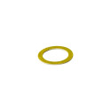 GAMBIT GASKET FOR UNION 1IN