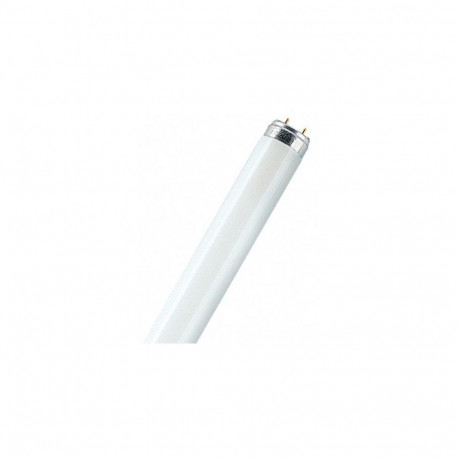 Osram L58W/865 fluorescent bulb 58 W G13