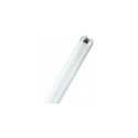 Osram L58W/865 fluorescent bulb 58 W G13