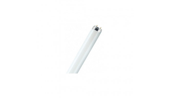 Osram L58W/865 fluorescent bulb 58 W G13