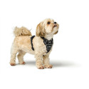Dog Harness Hunter DIVO UP Black M