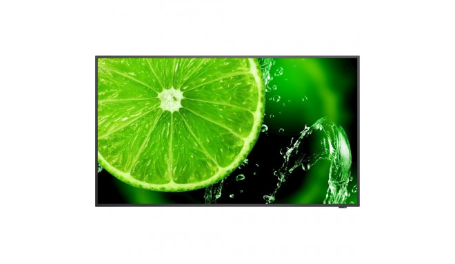 NEC MultiSync E558 monitor