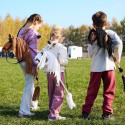 Koń na kiju hobby horse hoppihorse a3 chestnut - brąz, maść kasztanowata