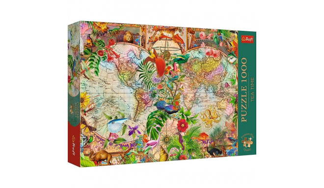 pusle 1000 tükki antiikne maailmakaart