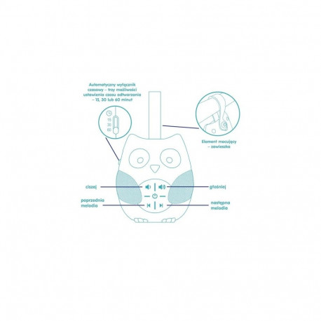 Pozytywka – öökull