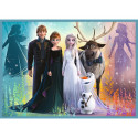 Puzzle - 4ühes (12, 15, 20, 24) - imeline maailm Frozen - Trefl 34381