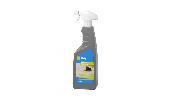 CLEANER INTENSIV-REINIGER 750ML