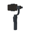 GoXtreme GX3 Gimbal 55243 4260041686410