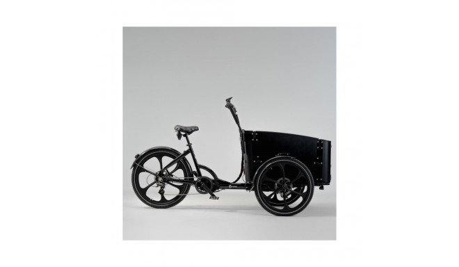 Elektriline kastiratas CARGOBIKE Delight