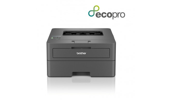 "Brother HL-L2400DWE sw-Laser"