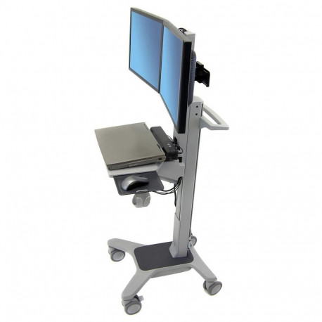 "Ergotron Neo-Flex Dual WideView"